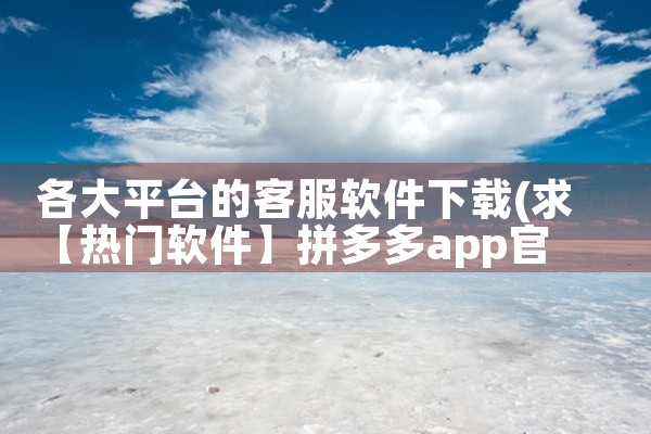 各大平台的客服软件下载