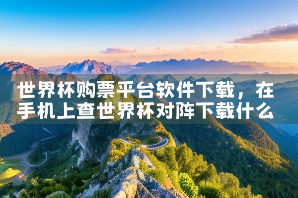 世界杯购票平台软件下载