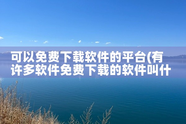 可以免费下载软件的平台