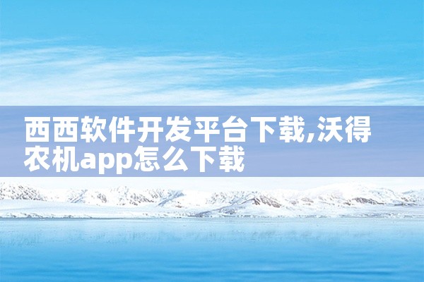 西西软件开发平台下载