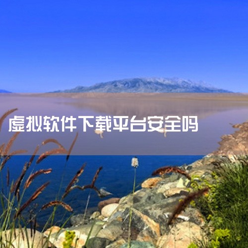 在中国，下载非正规渠道的类似币安的虚拟货币交易软件是不安全的。虚拟货币交易炒作活动，扰乱经济金融秩序，滋生赌博、非法集资、诈骗、传销、洗钱等违法犯罪活动，严重危害人民群众财产安全。类似币安这类未受中国,