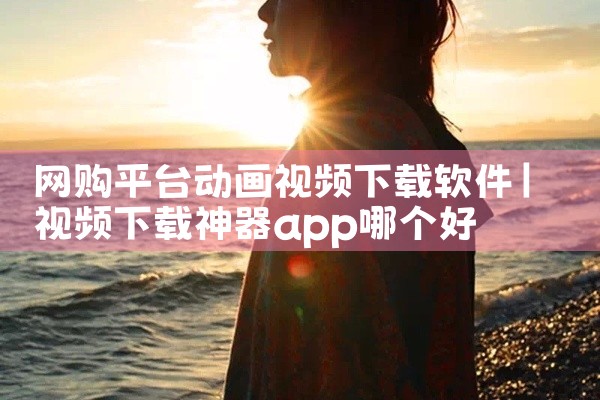 网购平台动画视频下载软件