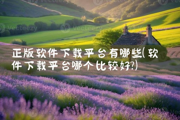 正版软件下载平台有哪些