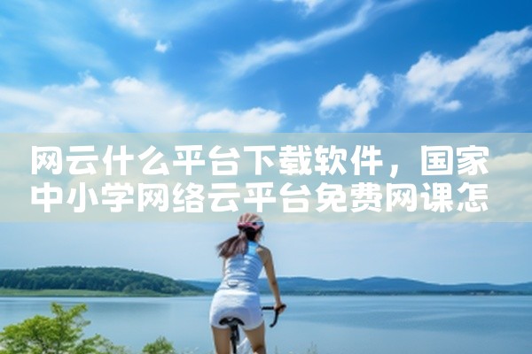 网云什么平台下载软件