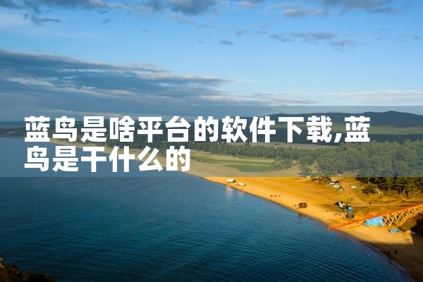 蓝鸟是啥平台的软件下载