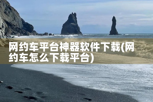网约车平台神器软件下载