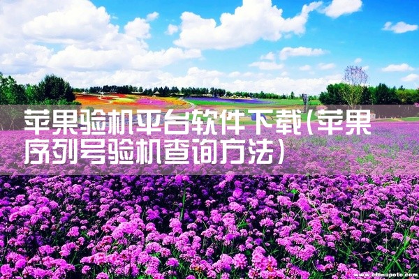 苹果验机平台软件下载