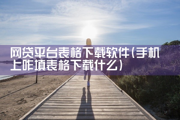 网贷平台表格下载软件