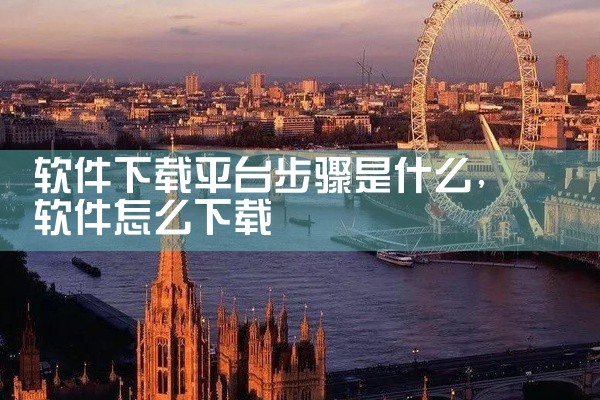 软件下载平台步骤是什么