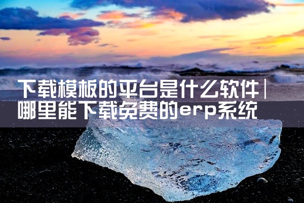 下载模板的平台是什么软件