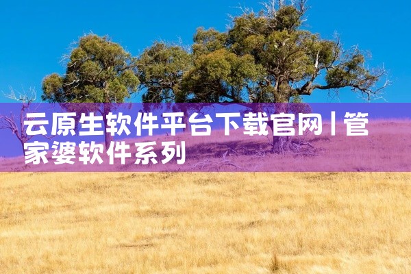 云原生软件平台下载官网